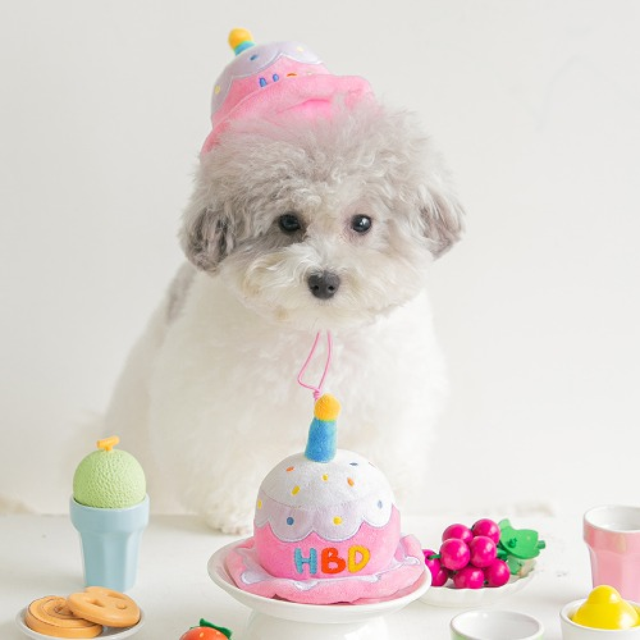 Happy Birthday Party Cake Hat Toy