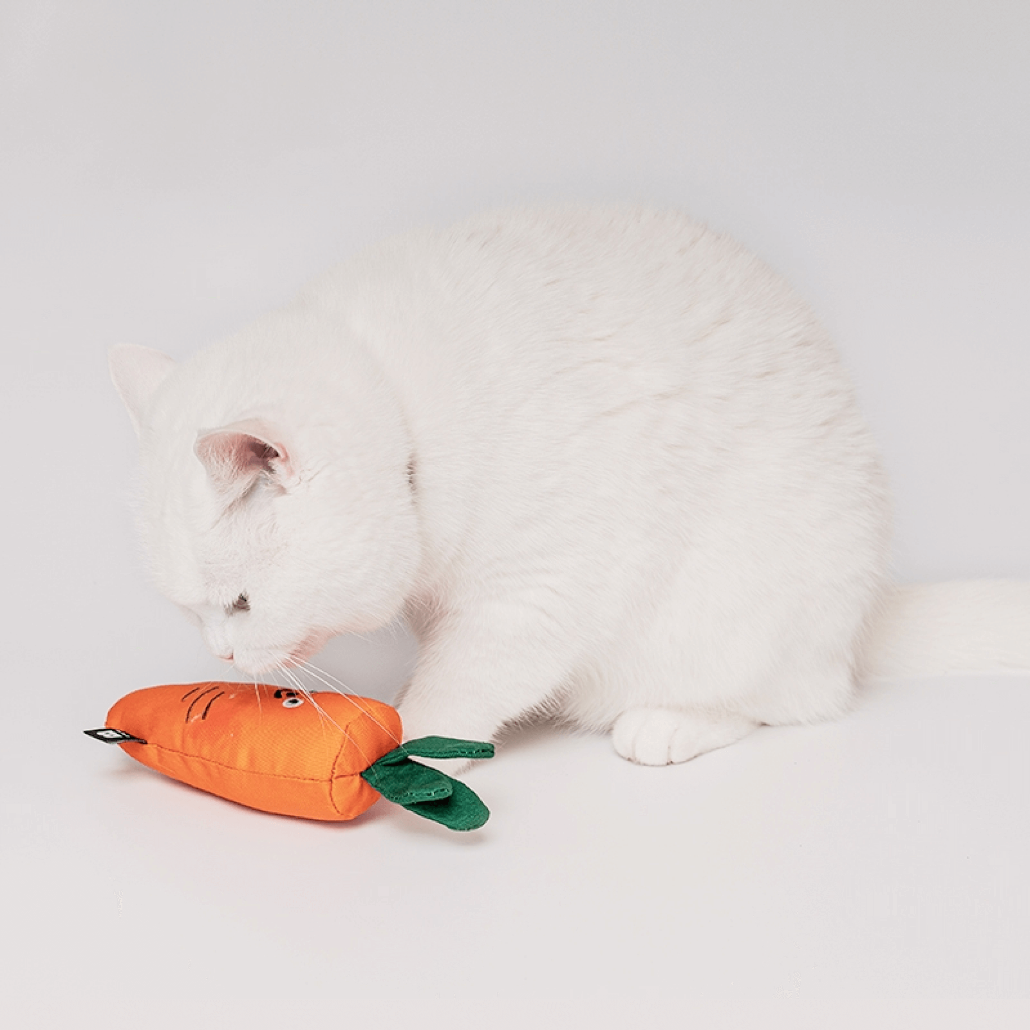 Carrot Catnip Cat Toy